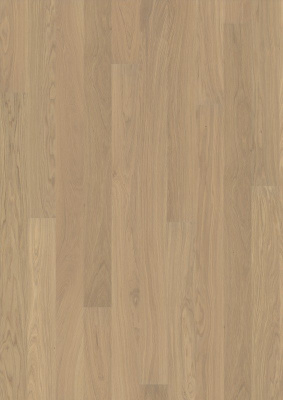 OAK FP NATUR NEW ARCTIC от торгового дома Академия интерьера